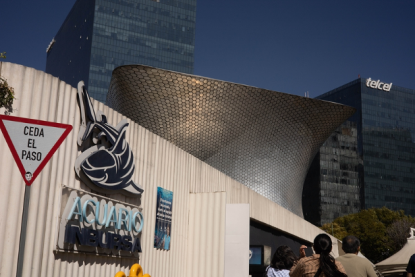 Acuario Inbursa en CDMX, atracción familiar
